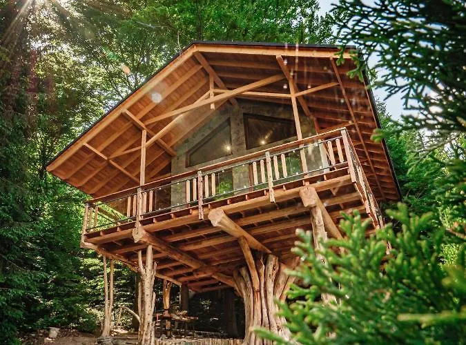 Orman Evi Tworzowka - Ekskluzywne W Gorach Zabnica