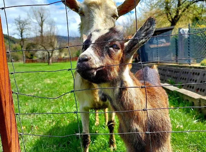 Tworzówka - Ekskluzywne W Górach *