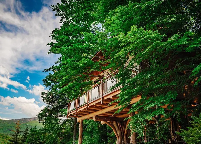 Orman Evi Tworzowka - Ekskluzywne W Gorach Zabnica